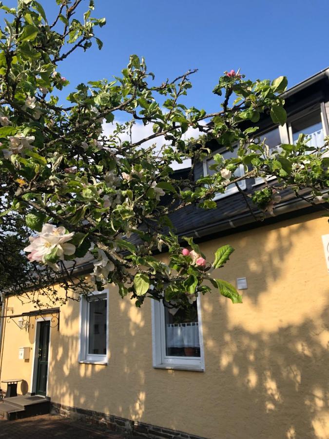 Am Apfelbaum, Ein Ferienhaus Zwischen Rhein Und Mosel Кастеллаун Екстер'єр фото